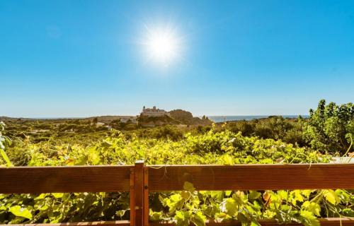 Ayios Pandeleimon Apartamento | Iliovasilema Apartments