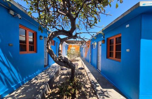 Arica Casa | Illariy Wasi Hostal