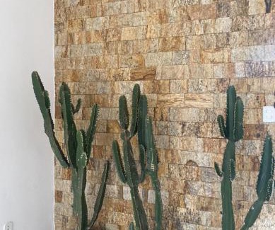 Passa Quatro Casa | Iluminarch Home