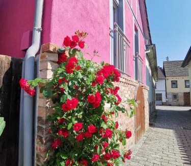Odenheim Casa | Im Herzen des Kraichgaus 2