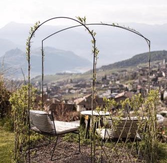 Caldaro Sulla Strada del Vino Cama Y Desayuno | Im Zeitlauf - life with nature