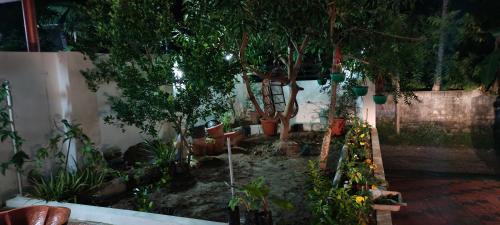 Thiruvananthapuram Casa | IMA'S home stay