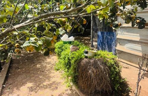 El Jadida Apartamento | Imaad Bourita