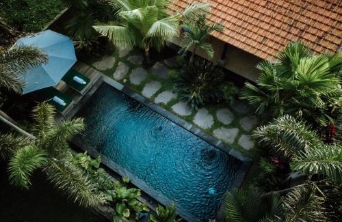 Kedewatan Complejo | Imagine Bali
