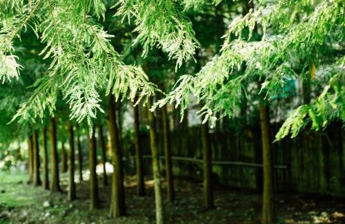 Puli Casa | Immanuel Forest Homestay