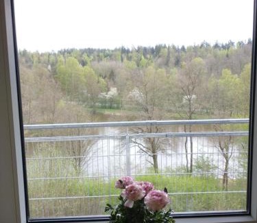Ziebach Apartamento | Immensee