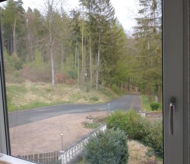 Ziebach Apartamento | Immensee