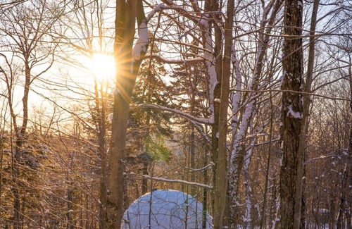 Notre-Dame-de-la-Merci Cabina | Immersive 4-season accommodation experience in a dome in a natural environment.