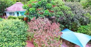 Hazyview Casa | Impala Niezel Lodge & Guest House