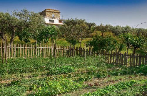 Agropoli Casa | Impietra