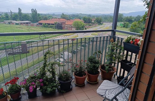Venaria Reale Casa | In Casa ZoE