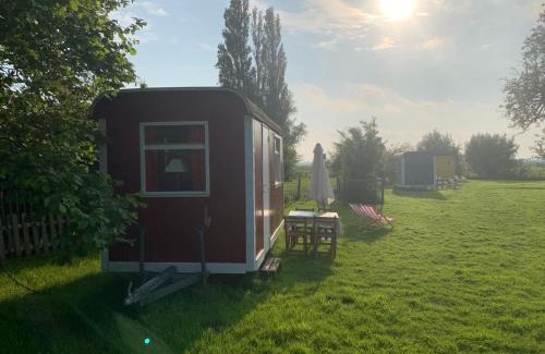 Watervliet Otro | In de Wolf