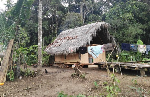Ramonurcu Cabina | In The Jungle Cabins, comunidad Tawankar