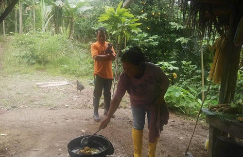 Ramonurcu Cabina | In The Jungle Cabins, comunidad Tawankar