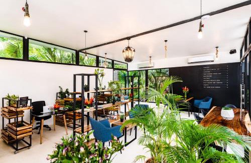 Tamarindo Hotel | In the Shade Hotel - Coworking - 300Mbit - Adults Only