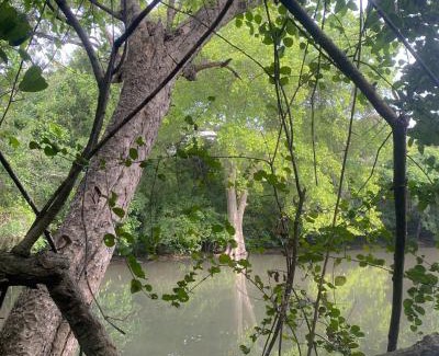 Polonnaruwa Complejo | In the Wild by RoamCeylon