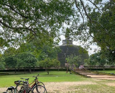 Polonnaruwa Complejo | In the Wild by RoamCeylon