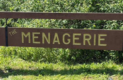 Fancher Apartamento | In the woods apartment close to Brockport College and the Erie Canal.