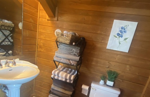 Florissant Cabina | Incredible Cozy Cabin on 40 acres of remote forest w Private Hot Tub