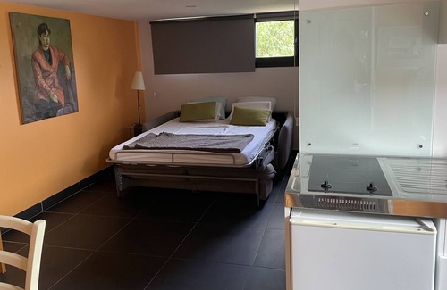 Saint-Didier-au-Mont-d'Or Apartamento | Independent studio in property with private swimming pool