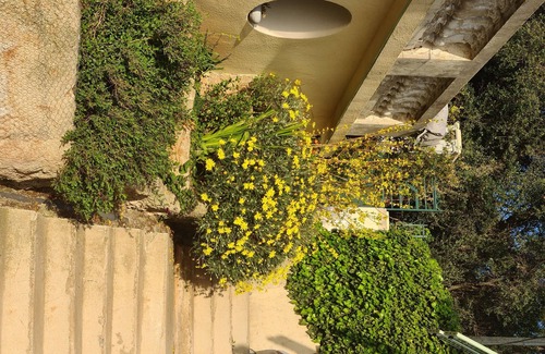 Mont Boron Casa | independent accommodation with exceptional sea view