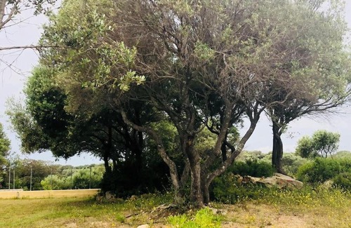 Palau Casa | Independent Villa in the nature near to the sea