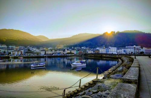Viveiro Apartamento | Indiano 2K