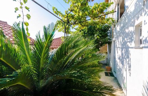 Lozica Apartamento | Indy's Beach Apartments
