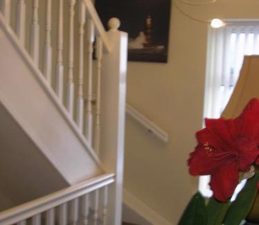 Bolton Casa | Inglenook cottage