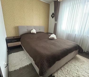 Vatra Dornei Apartamento | Ingrid home 3 camere