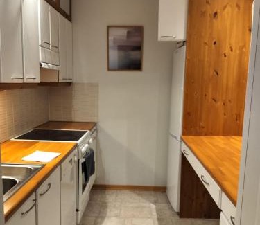 Kuopio Apartamento | Inkilä 23 X