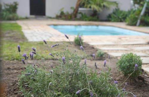 Welgemoed Casa | iNkosi Luxury Lodge