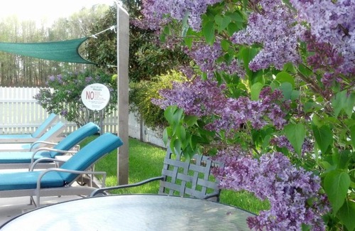 Rock Hall Cama Y Desayuno | Inn at Huntingfield Creek