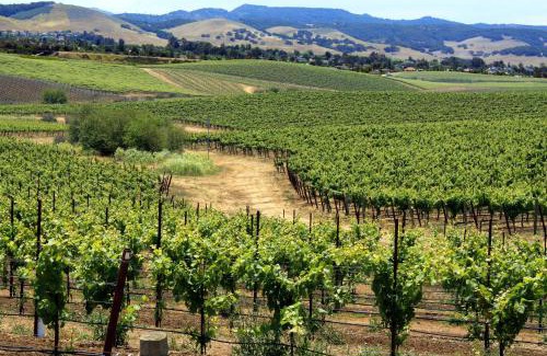 San Luis Obispo Hotel | Inn at San Luis Obispo