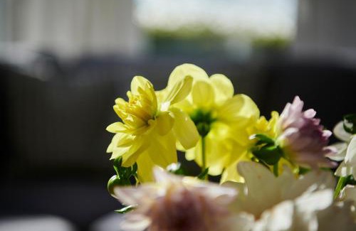 Alt Gaarz Apartamento | Inselblick