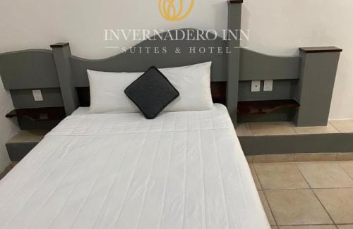Veracruz Hotel | Invernadero Inn