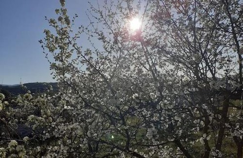 Pamvotida Apartamento | Ioannina Cozy Retreat