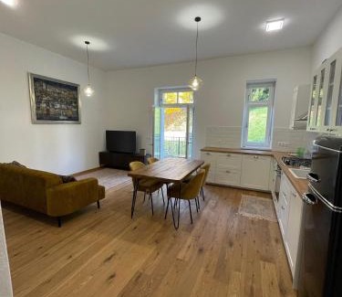 Maribor Apartamento | Ipavčeva vila