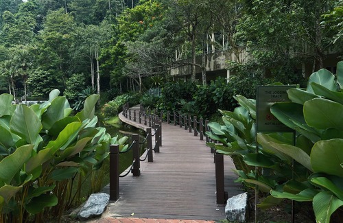 Hulu Kinta Condominio | Ipoh The Haven Lakeside Apt Mountain View 3-7 pax