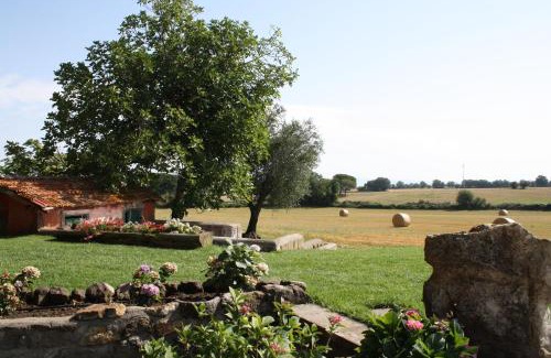 Viterbo Cama Y Desayuno | Ippocastano B&B