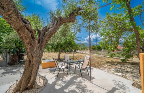 Sami Casa | Ira's House