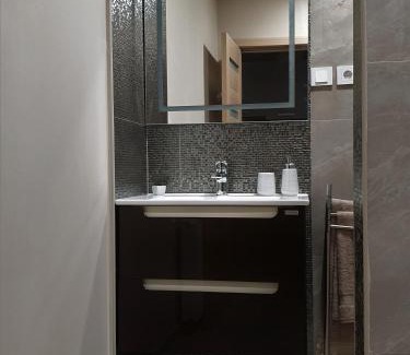 Timisoara Apartamento | Irina Apartments