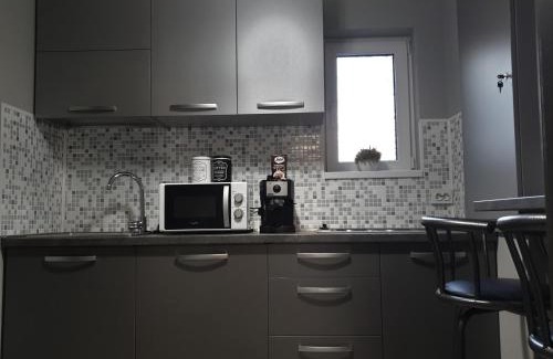 Timisoara Apartamento | Irina Apartments