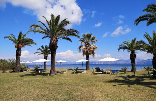 Kavos Apartamento | IRINI
