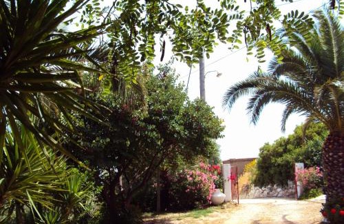 Plomari Apartamento | Irini Studios