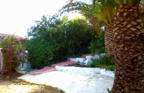 Plomari Apartamento | Irini Studios