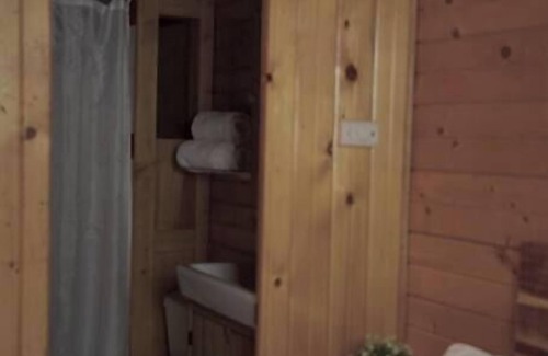 Lake City Cabina | Iris Cabin with Mountain Views