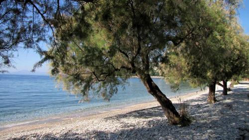Lefokastron Apartamento | Iro family apartments pelion