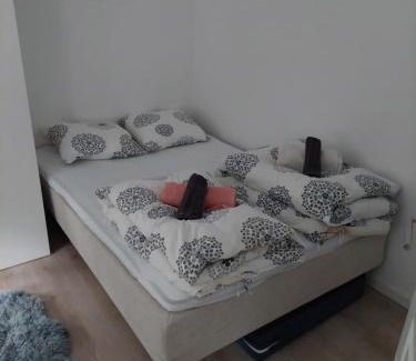 Hjørring Apartamento | Isabella 7 personers hus