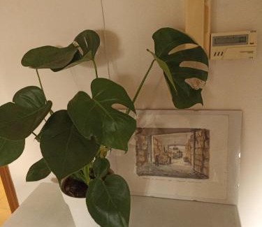 Candelo Apartamento | Isangarda Apartment